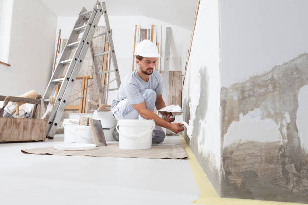 Best Eco-Friendly and Low-VOC Painting  in Camanche, IA