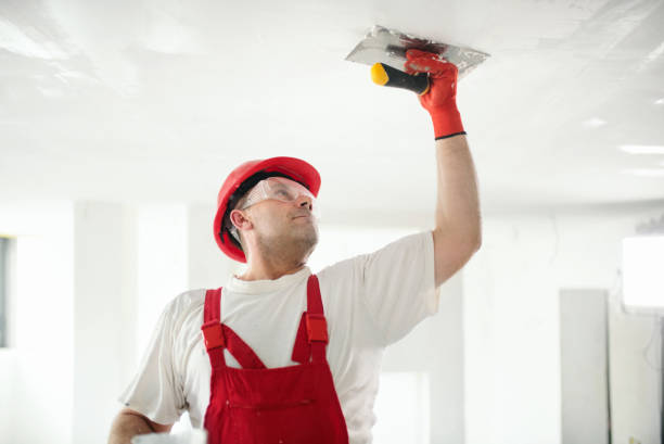 Best Drywall for Remodeling  in Camanche, IA