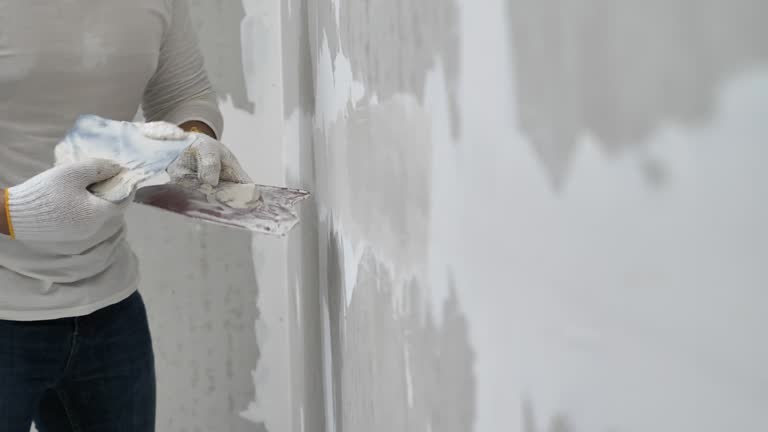 Best Drywall Texturing  in Camanche, IA